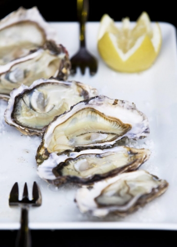 Fresh Oysters, Bordeaux, Food photography