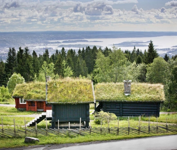 Oslo, Norway, lawn roof, grass on the roof, house in Norway, Sunny Norway