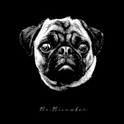 Pug head art with Signature Portrait effect added, Mr. Micawber Marbella