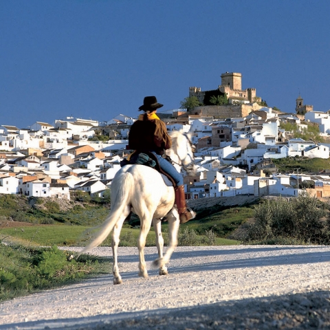 Espejo, Horse riding,  Andalucia, SPAIN, Andalusia, horseback, traditional spain, white horse, castillo en España, a castle in Spain
